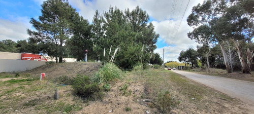 Venta Lote Terreno En San Bernardo 995 M2 Barrio Residencial