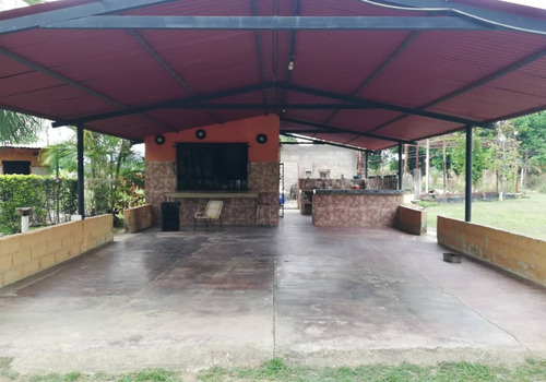 Imagen 4 de 10 de Jm Asein P1886 Vende Linda Finca En El Sector La Sabana Via Tocuyito Valencia.
