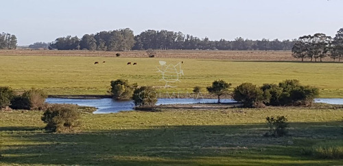 Imagen 2 de 13 de Campo De 20 Has Muy Cerca Del Faro Jose Ignacio - Consulte !!!!!! - Jose Ignacio