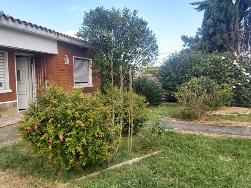 Imagen 4 de 21 de Estupendo Chalet 2 Dorm Parquet. Living Estufa Aleña. Cocina Amplia Y Baño De Época. Impecable Mantenido. Excelente Construcción En 1129 Mts2. Jardin. Garage. Entrad Lateral. Fondo Arbolado Sobre Av.
