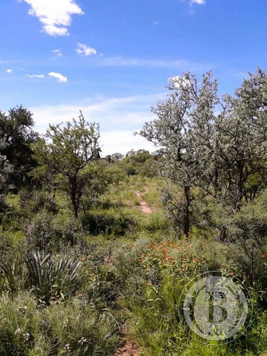 Bustamante Prop 12028 Lote Venta San Francisco Del Monte De Oro San Luis