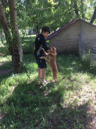 Imagen 8 de 9 de Hotel Shadows Para Perros Naturaleza, Experiencia Y Amor