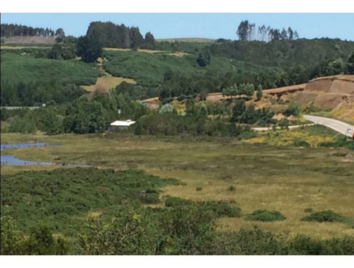 Imagen 2 de 10 de Gran Oportunidad Entre Ancud Y Castro , Chiloe