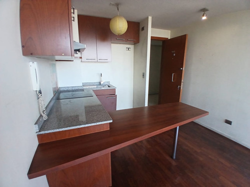 Moderno Depto. 1 Dormitorio/emilia Téllez