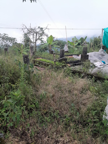 Se Vende Finca En Fresno - Tolima