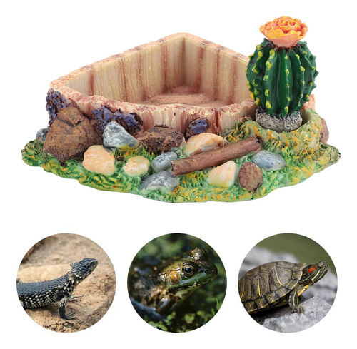 Comedero For Mascots, Reptiles, Tortugas, Lagartos, Plato
