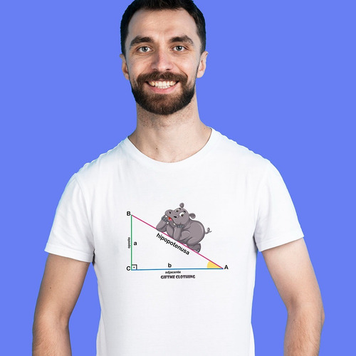 Camiseta Personalizada Hipopotenusa - Matemática - Divertida