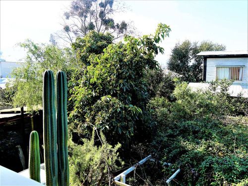 Condominio Con 2 Casas En Limache.