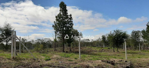 Chácara À Venda, 2307 M² Por R$ 255.000,00 - Chácaras Olhos D´água - Campina Grande Do Sul/pr - Ch0068