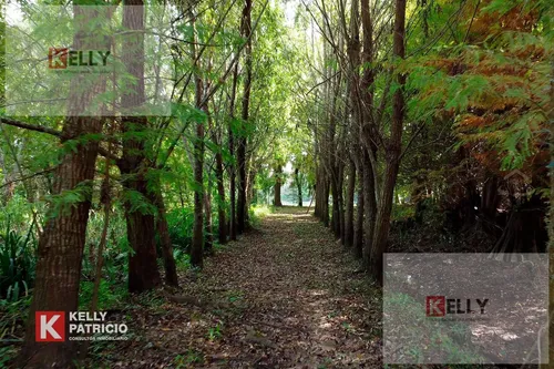 Venta De Quinta Con 90 Mts De Costa Sobre Rio Paranacito - Isla 9 - foto 1