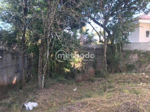 Terreno - Te00174 - 68210229