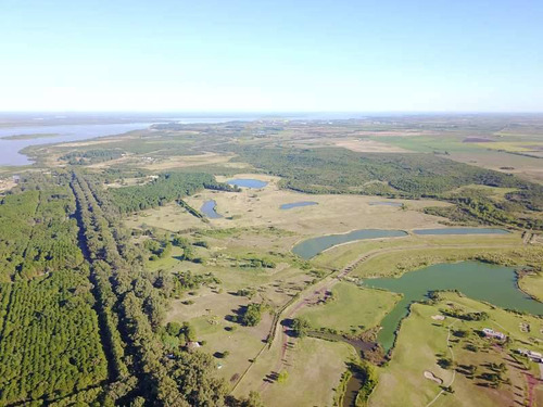 Cómoda Casa En Carmelo Golf, Alquiler Anual