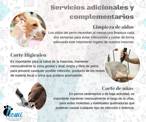 Imagen 2 de 5 de Peluqueria Canina Servicio Premiun Con Retiro De Mascota