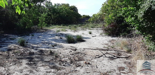 Imagem 2 de 4 de Terreno De 1800m Com Uma Casa E 2 Pontos Comerciais A Venda