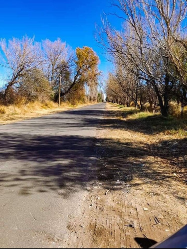 Imagen 5 de 5 de Inverti En San Rafael- Mendoza