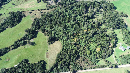 Linda Parcela De 5 Hectáreas En Los Riscos, Puerto Varas.