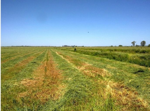 Imagen 10 de 10 de Campo A La Venta En San Vicente ,canning.