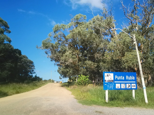 Terreno A Una Del Océano En Punta Rubia (rocha) - Ref 4610