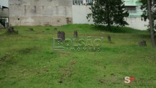 Imagem 6 de 6 de Terreno - Parque Terra Nova Ii - Ref: 20736 - V-20736