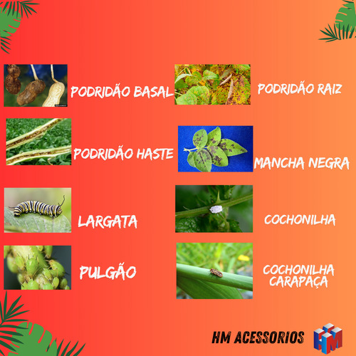 Kit 04 Fungidex 50ml Poderoso Controle Doenças Pragas Jardim