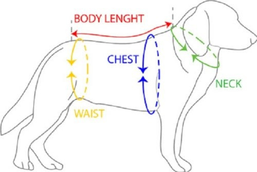 Funnydogclothes Puppy Dog Funny Diaper Belly Band Male Bo