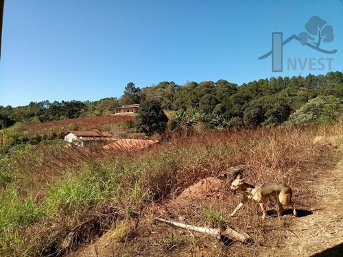 Imagem 13 de 15 de Cod 3550 - Excelente Terreno Com 1.200 M² - 3550