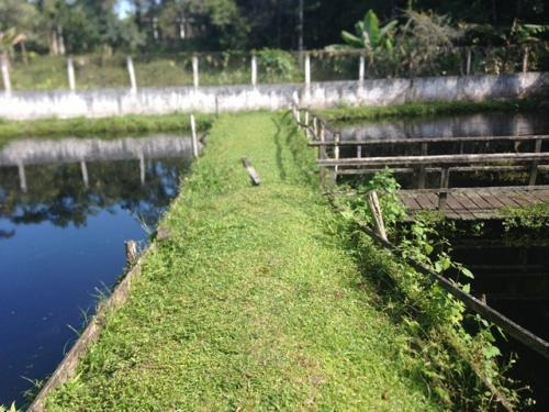 Lindíssima Chácara Com Lago E Suíte Em Itanhaém - Ch017