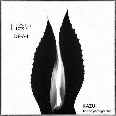 Libro De-a-i : (japanese For Encounter) - Kazu Okutomi
