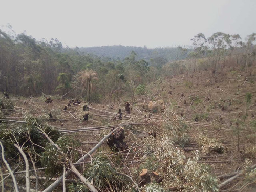 Ig Investimento Certo. Terrenos Em Mairiporã