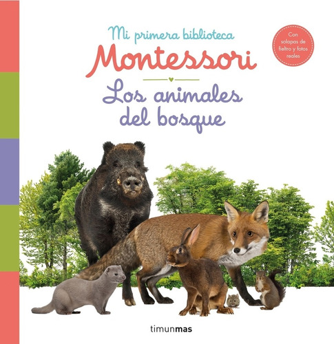 Libro - Los Animales Del Bosque. Mi Primera Biblioteca Monte