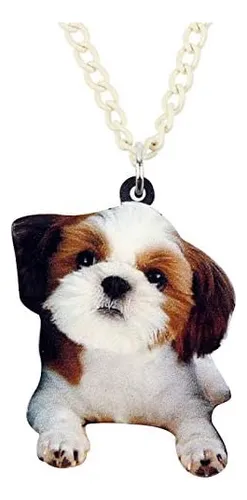 E collar for shih cheap tzu