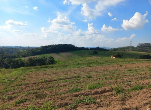 Imagem 12 de 30 de 20o Terreno A Venda Para Investimento
