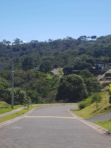 Imagen 6 de 30 de Lote En Condominio Hacienda Natura En Naranjo De Alajuela
