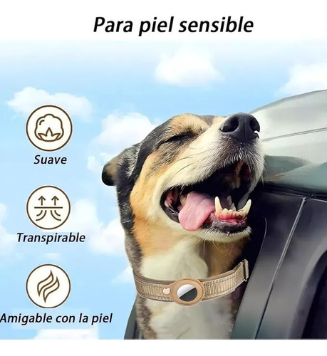 Collar Soporte Apple Airtag Para Perros Compatible Ajustable