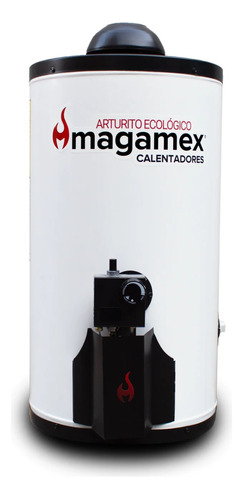 Calentador Boiler 38l Deposito Arturito Gas Natural Magamex