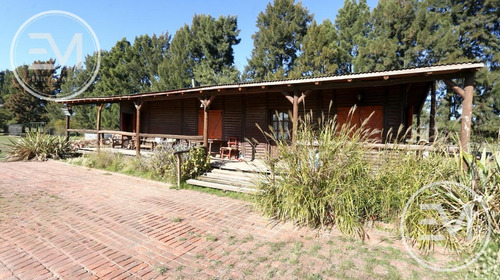 Venta Cabaña Sobre Gran Fracción De 4 Lotes Presidente Perón