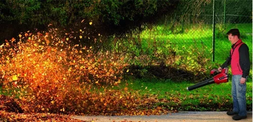 Sopladores de hojas inalámbricos soplador de hojas eléctrico inalámbrico de  mano en un jardín otoño trabajos de jardinería