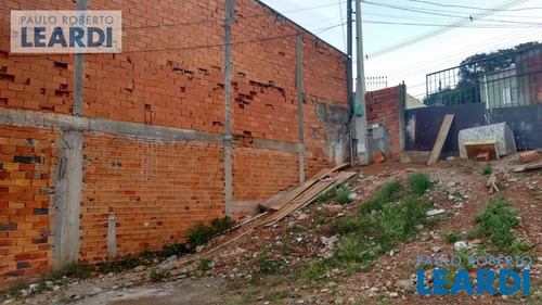 Imagem 4 de 13 de Terreno - Residencial Jardim Paraná - Sp - 505882