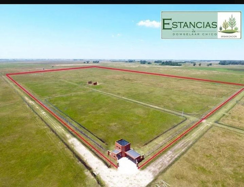 Terreno En Venta - 300mts2- Domselaar