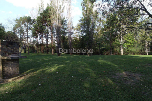 Imagen 17 de 30 de Terreno Campo En Venta O Permuta Ubicado En Baradero, Resto De La Provincia, Buenos Aires