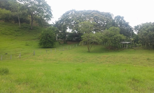 En Venta Finca Ideal Para Ganadería, Cría De Caballos Entre Otras Actividades.