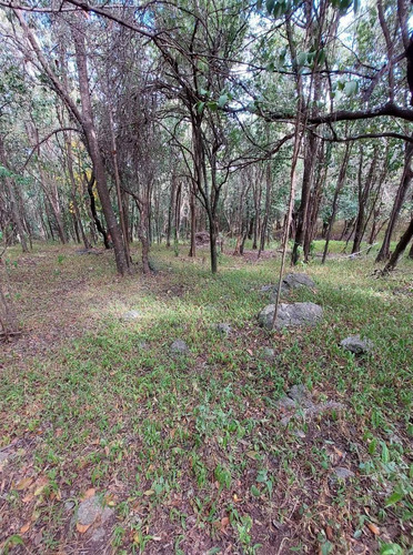 Imagen 9 de 12 de Se Vende Lote De 3416m2 En Agua De Oro! A 100m De La Ruta !