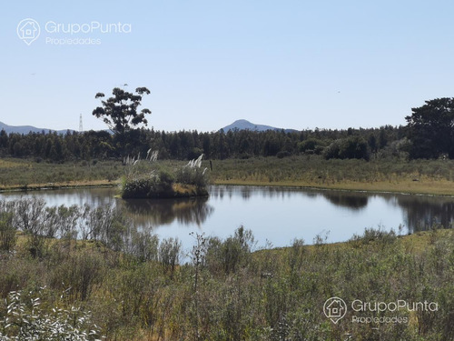 Chacra En Venta - Alquiler Anual En Cerros Azules -piriapolis