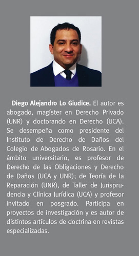 Daños Punitivos De Diego Lo Giudice