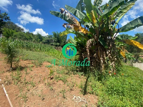 Imagem 15 de 17 de Linda Chácara Em Pinhalzinho - Ch00019 - 69558662