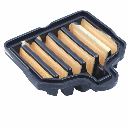 Kit De Servicio Tune Up Para Filtro De Aire Poulan Pp5020av