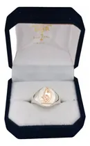 Comprar Anillo En Plata Y Oro Profesión Laboratorio-laboratorista 