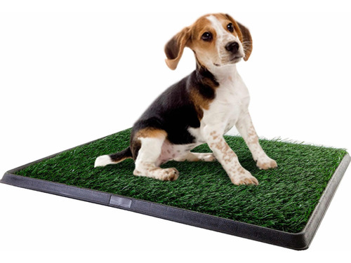 Sanitario Para Perro Alfombra Baño 40x50 Césped Sintético