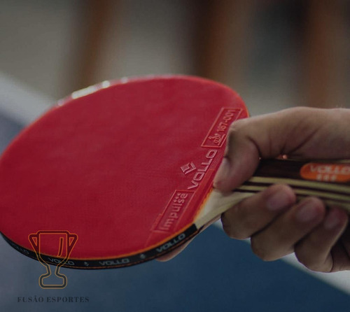 Imagem 6 de 7 de Raquete Tenis De Mesa Ping Pong Table Tenis Profissional 3*