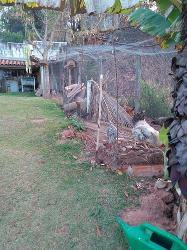 Imagem 2 de 30 de Chacara - Ch00205 - 68772128
